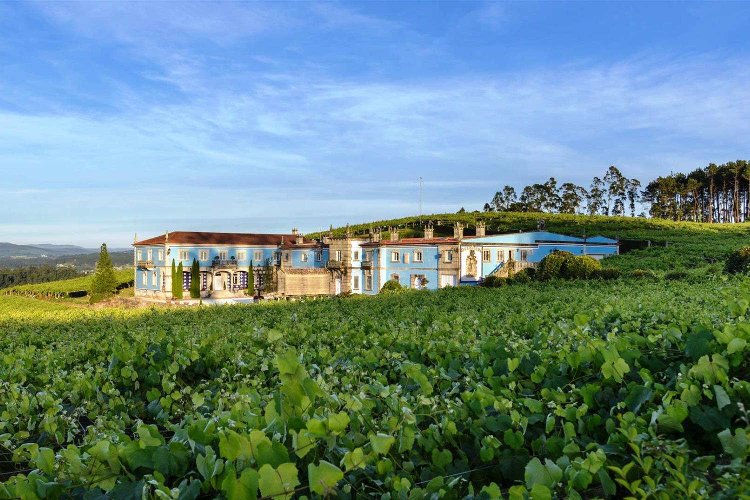 Bodegas y espacios con producto propio