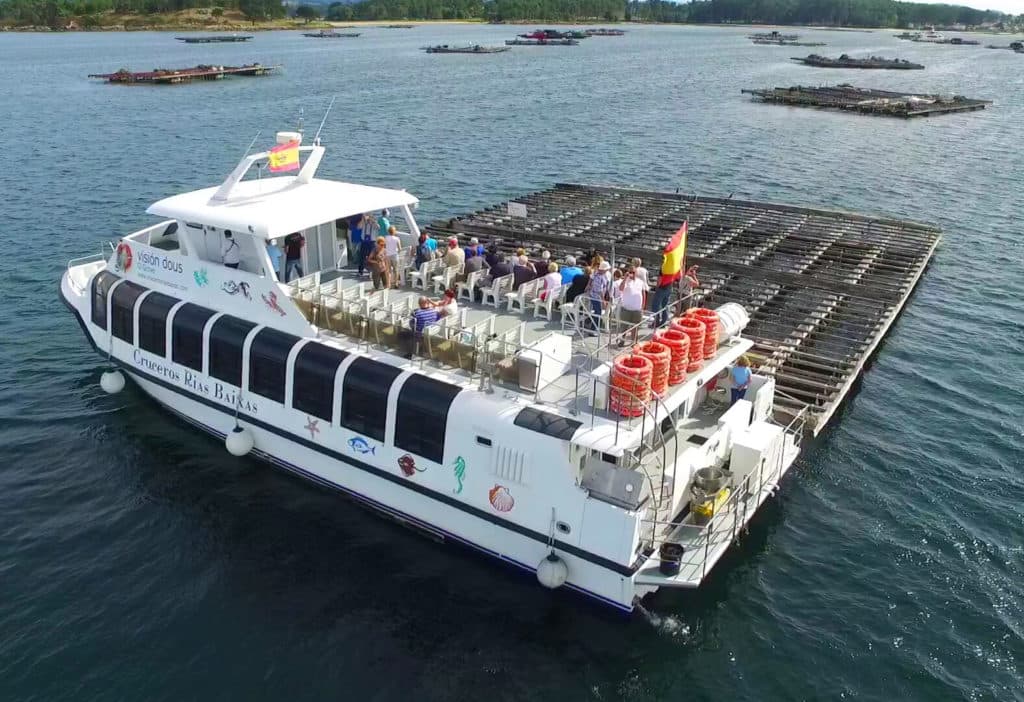 Salida en catamarán